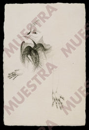 Voluntad 32 Serie